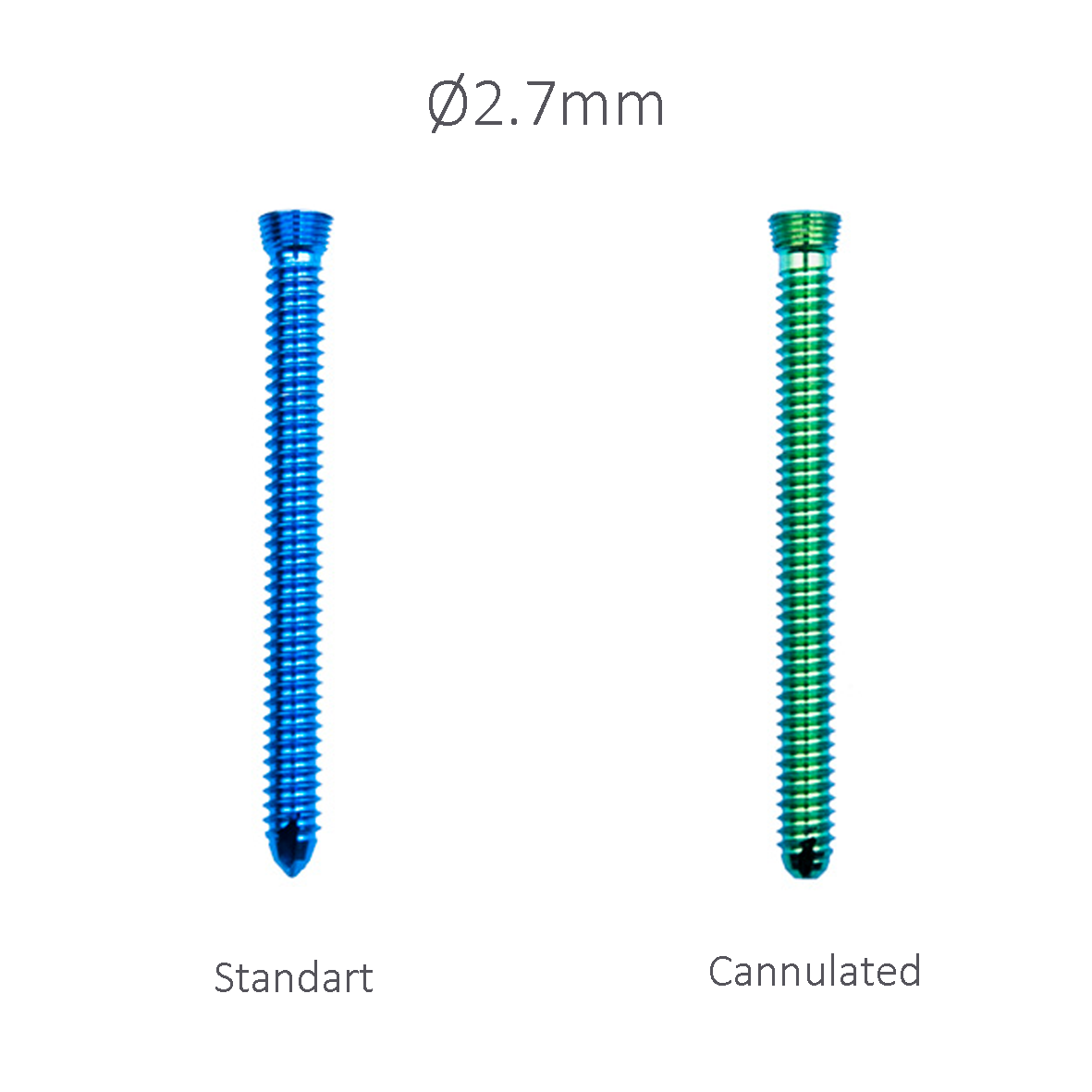 Locking Screw